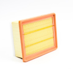 AIR FILTER ELEMENT  A20-0036-HOL -1
