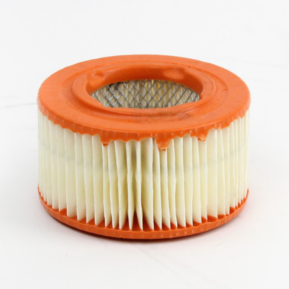 AIR FILTER ELEMENT A20-0117-HOL -1