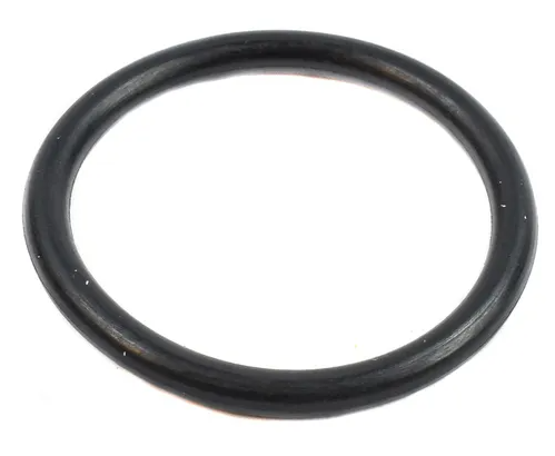 Black Circle O-Ring