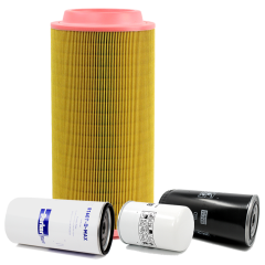 Holm K80-4373-HOL Bomag BW 27 RH SN 101538111001 500 Hour Service Kit