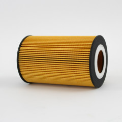 OIL FILTER ELEMENT L10-0207-HOL-1