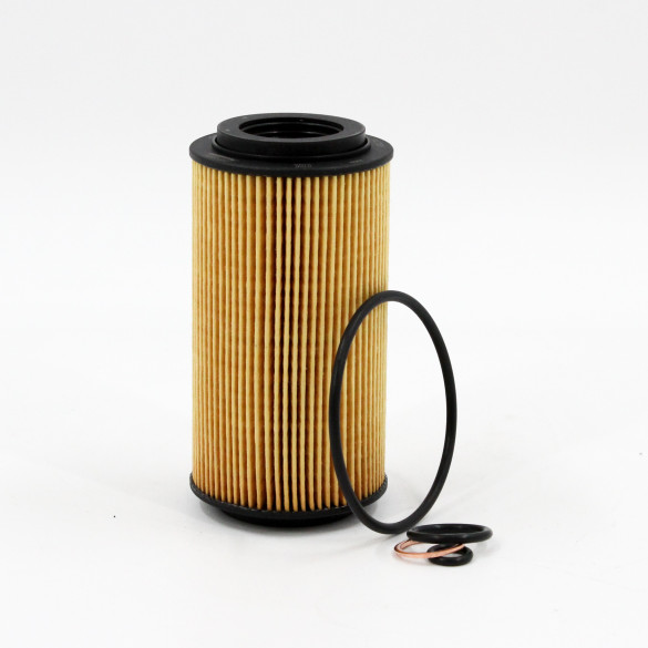 OIL FILTER ELEMENT L20-0206-HOL-1