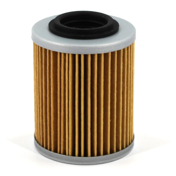 Holm L20-0227-HOL Oil Filter Element